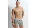 Трусы Мужские Boxer 5 шт/уп WOOSTER (S+M+L+XL+2XL)